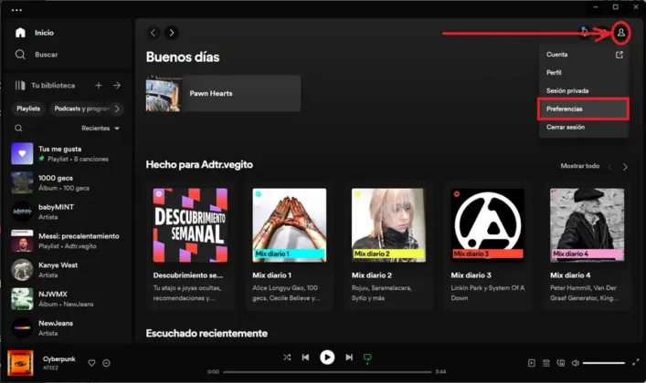 como activar audio mono en spotify para pc 1