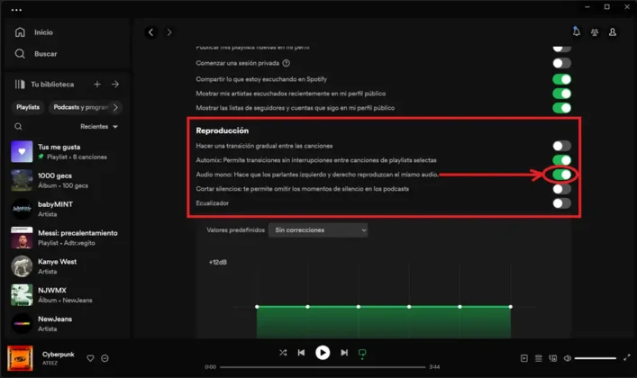 como activar audio mono en spotify para pc 2
