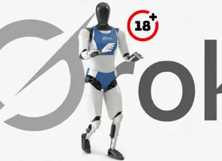 como-activar-modo-18-de-grok-nsfw