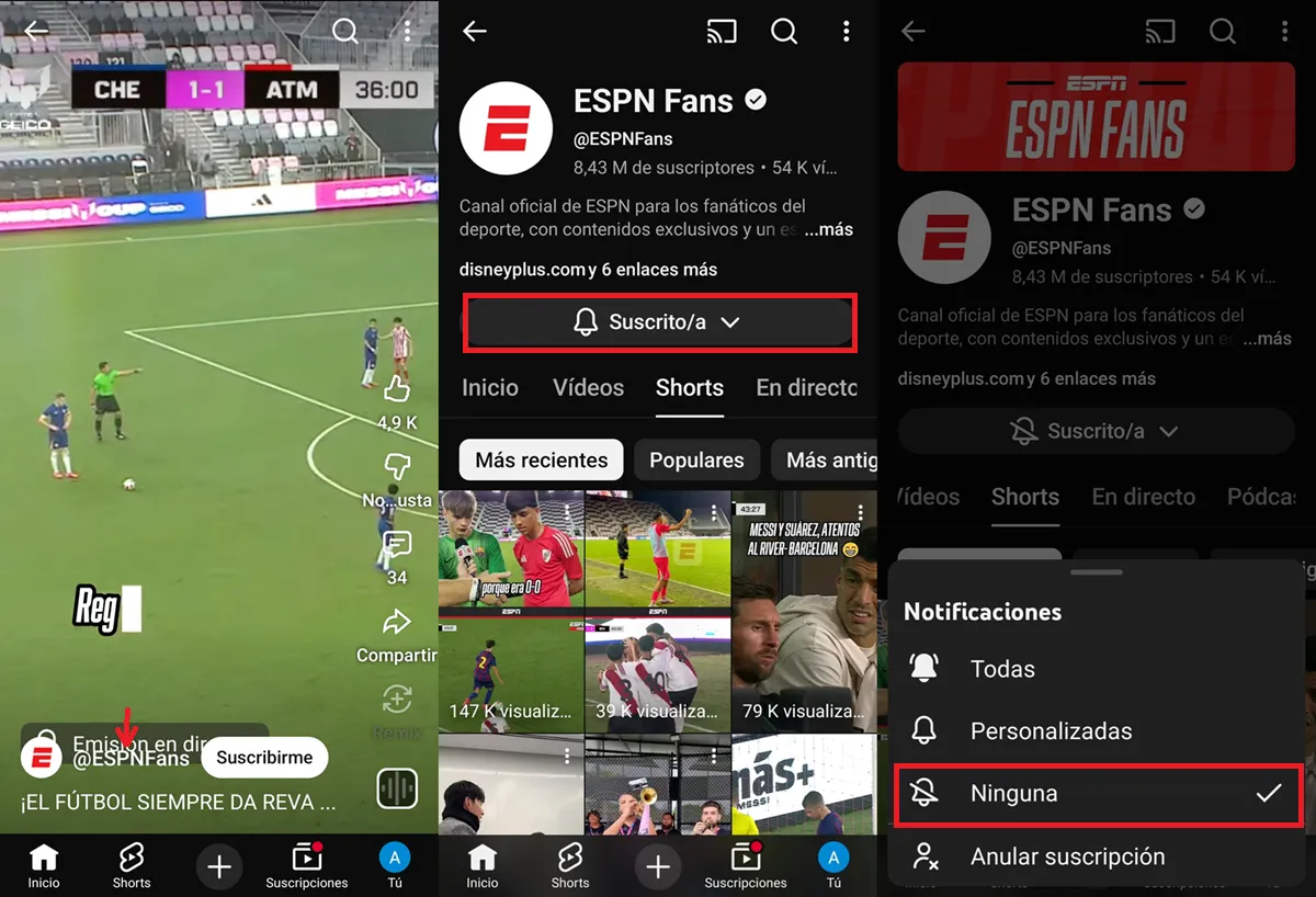 como dejar de recibir notificaciones de un canal de youtube especifico