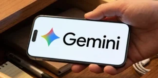 como evitar que gemini recopile informacion personal