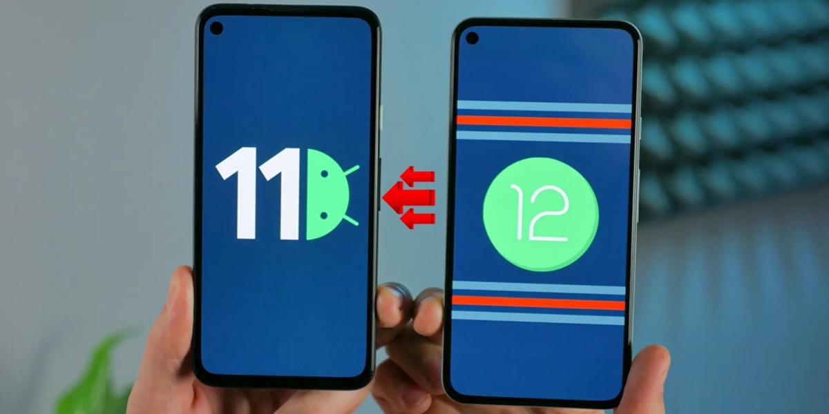 como regresar a android 11 desde android 12