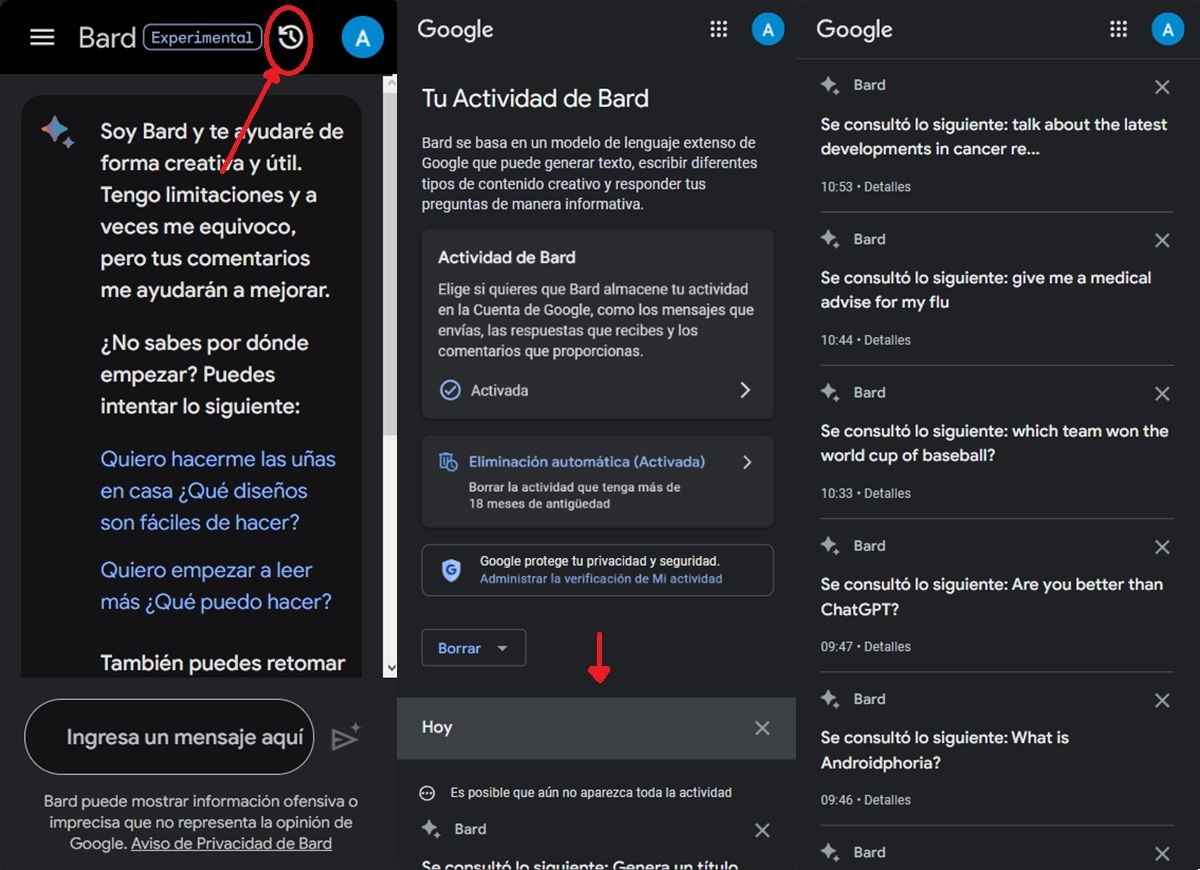 como ver el historial en google bard