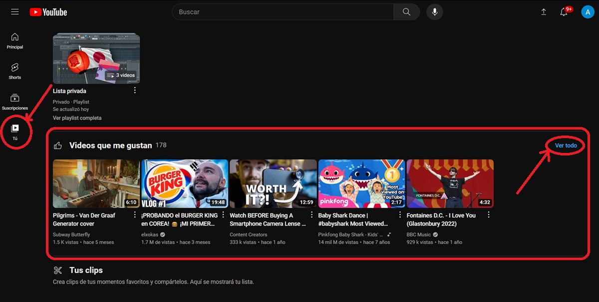 como ver mis me gusta en youtube desde pc