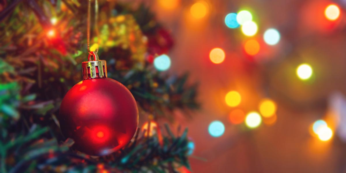 desenfoca elementos de tus fotos con bokeh