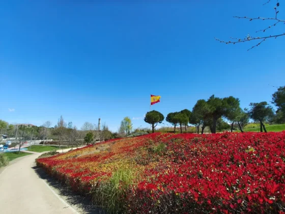 el ultra gran angular no convence se desenfoca con facilidad y pierde muchos detalles POCO X8 Pro Max