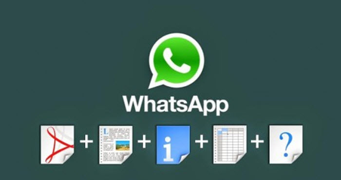 enviar cualquier archivo por whatsapp