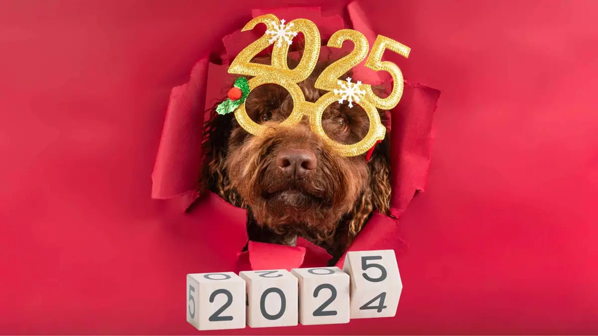 Happy New Year 2025 Dog