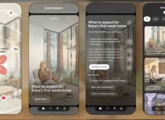 Google Dreambeans ya es gratis: qué es y cómo funciona