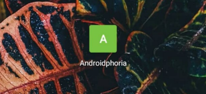 haz un acceso directo web en android