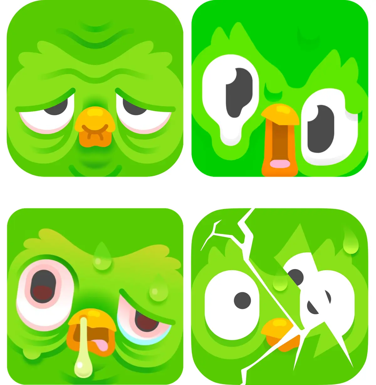 iconos de duolingo viejo derretido enfermo y roto