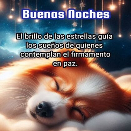 imagen de mascota de buenas noches