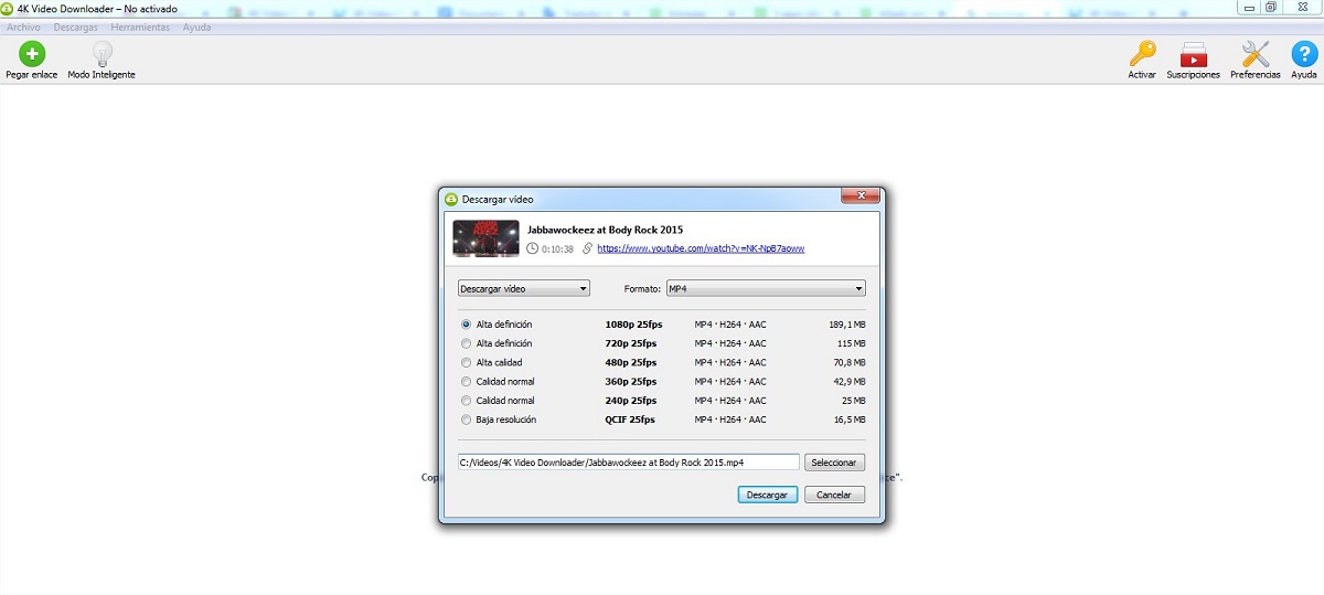 4k video downloader interfaz