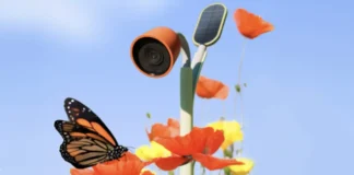 inventos mas locos presentados en el CES 2025
