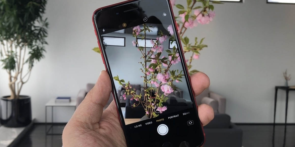 iphone se 2020 no es malo para tomar fotos, pero hay mejores