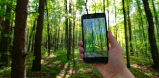 mejor app movil para la reforestacion