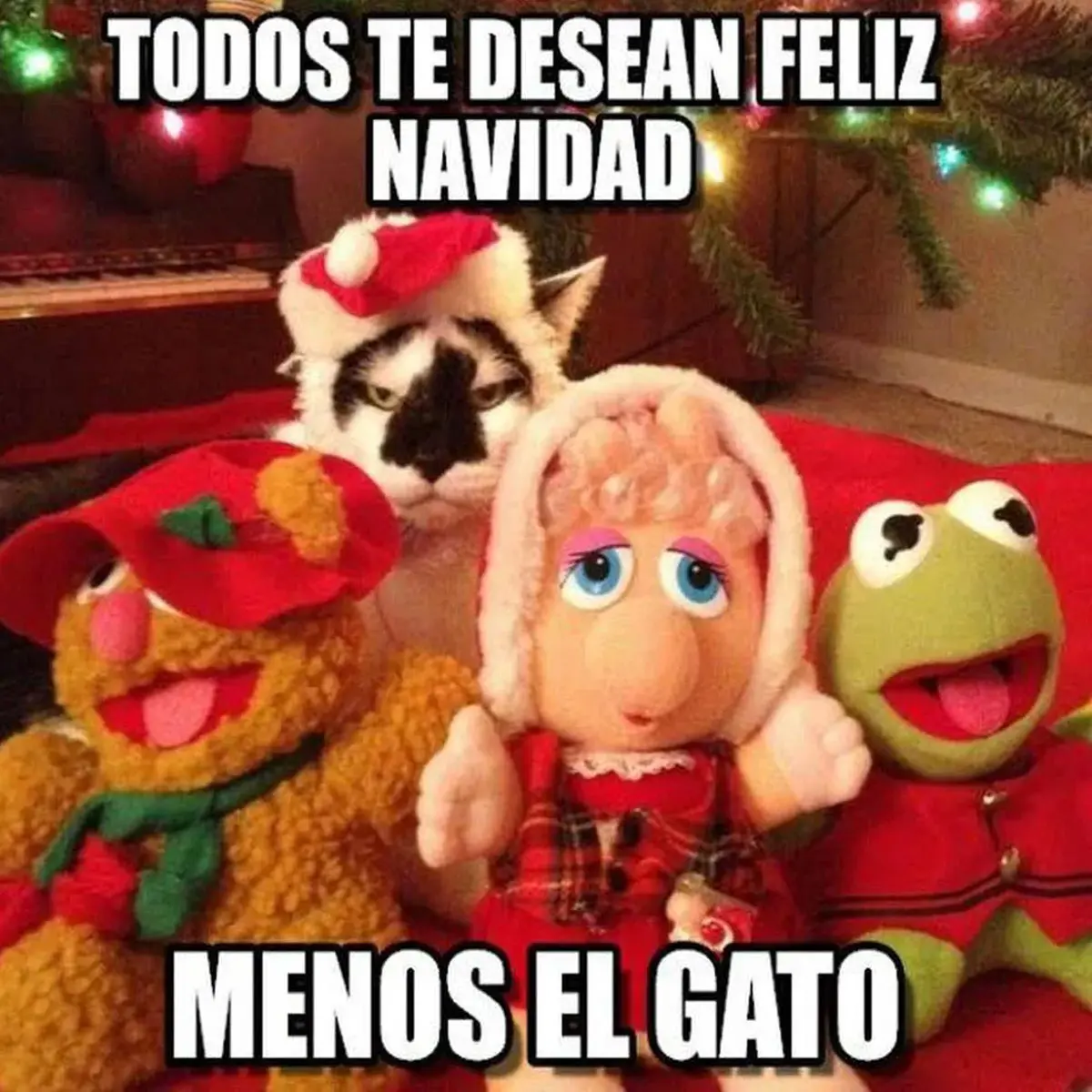 Memes Feliz Navidad