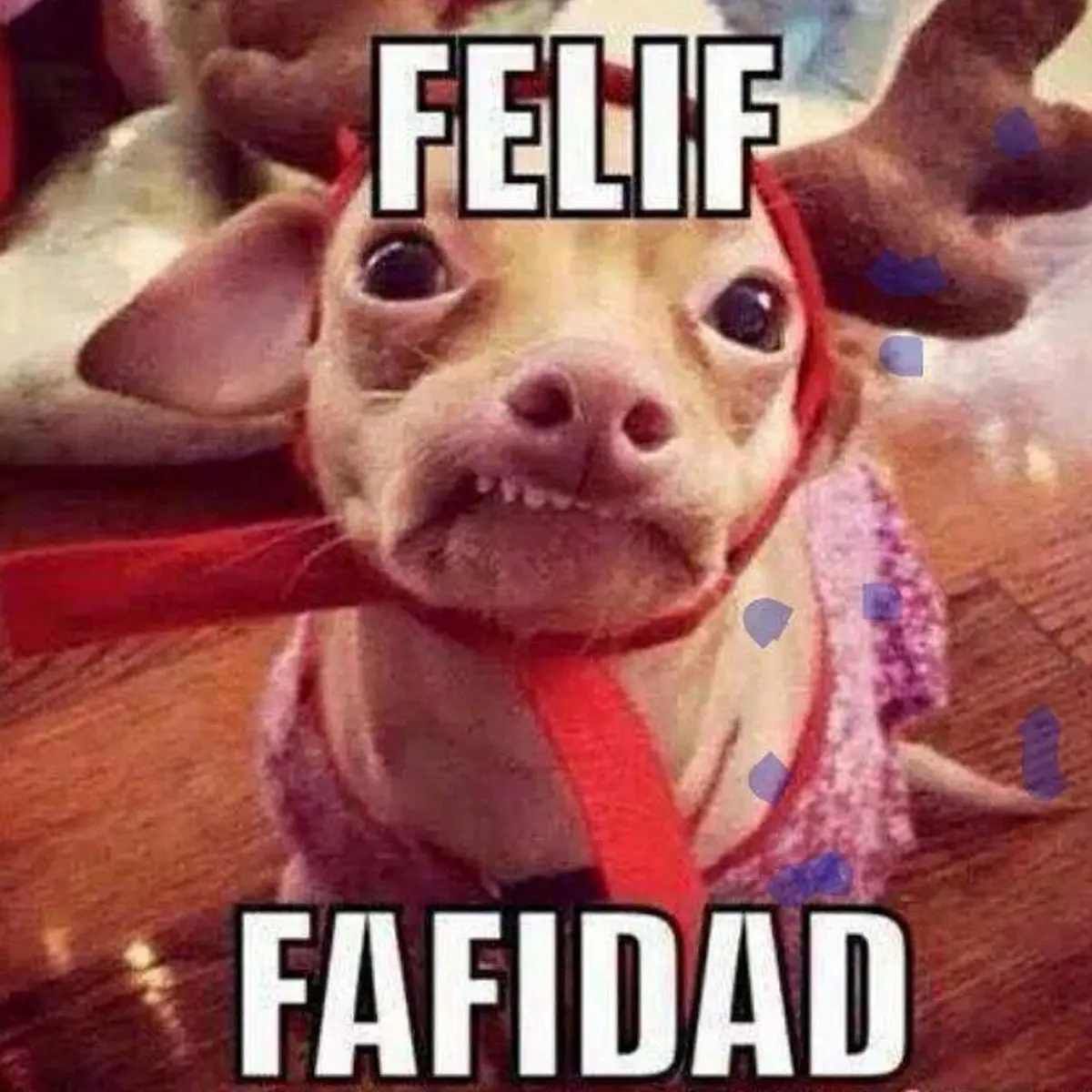 Memes Feliz Navidad