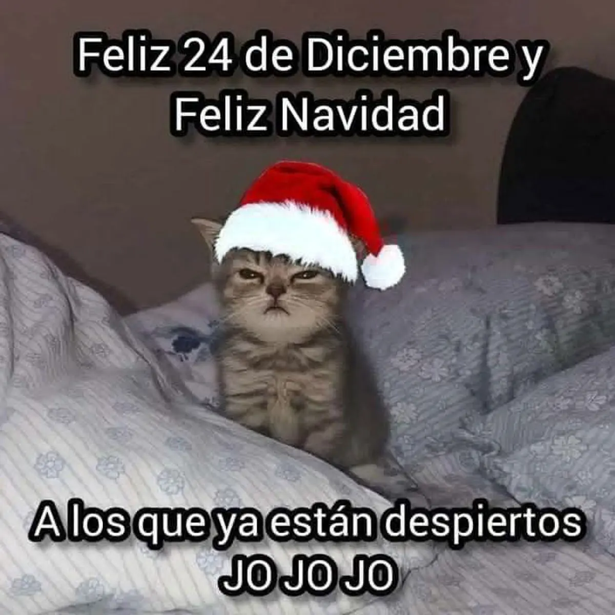 Memes Feliz Navidad