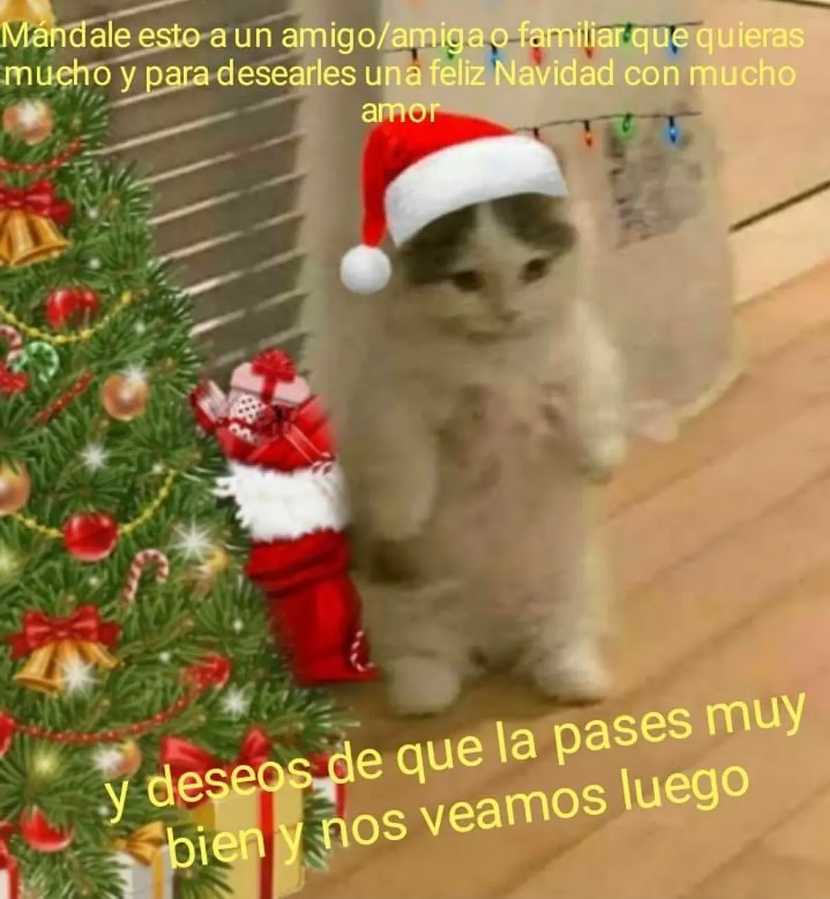 Memes Feliz Navidad