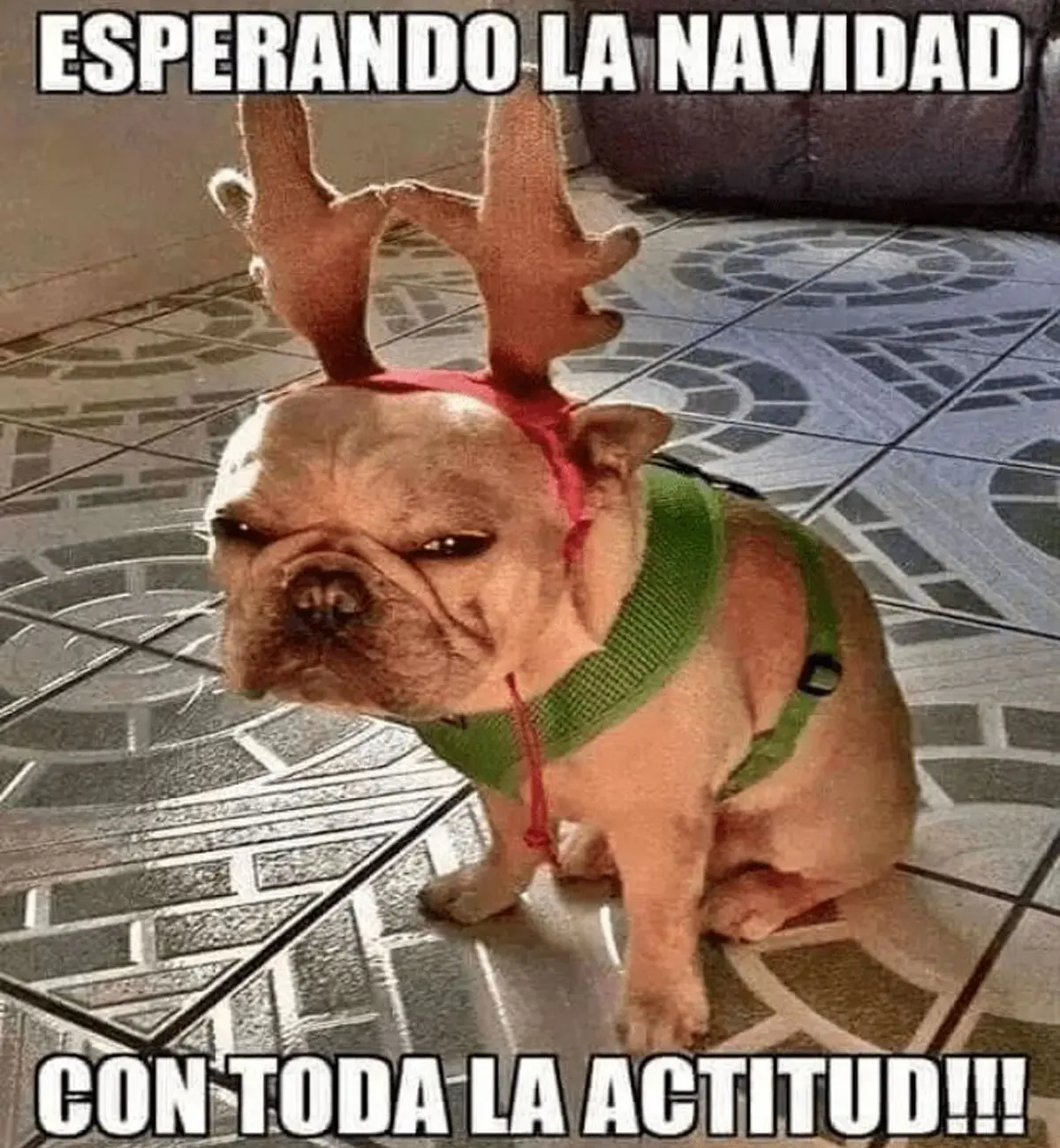 20 memes de Feliz Navidad 2025 para compartir en redes sociales