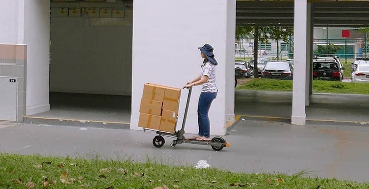 mimo c1 transportando cajas