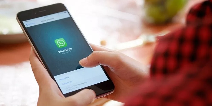 navegador whatsapp