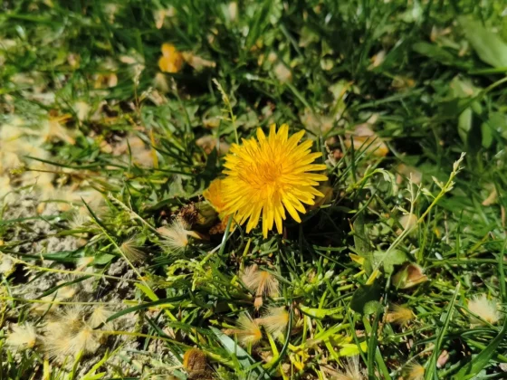 otro gran ejemplo del manejo de luz y contrastes de su camara principal POCO X8 Pro Max