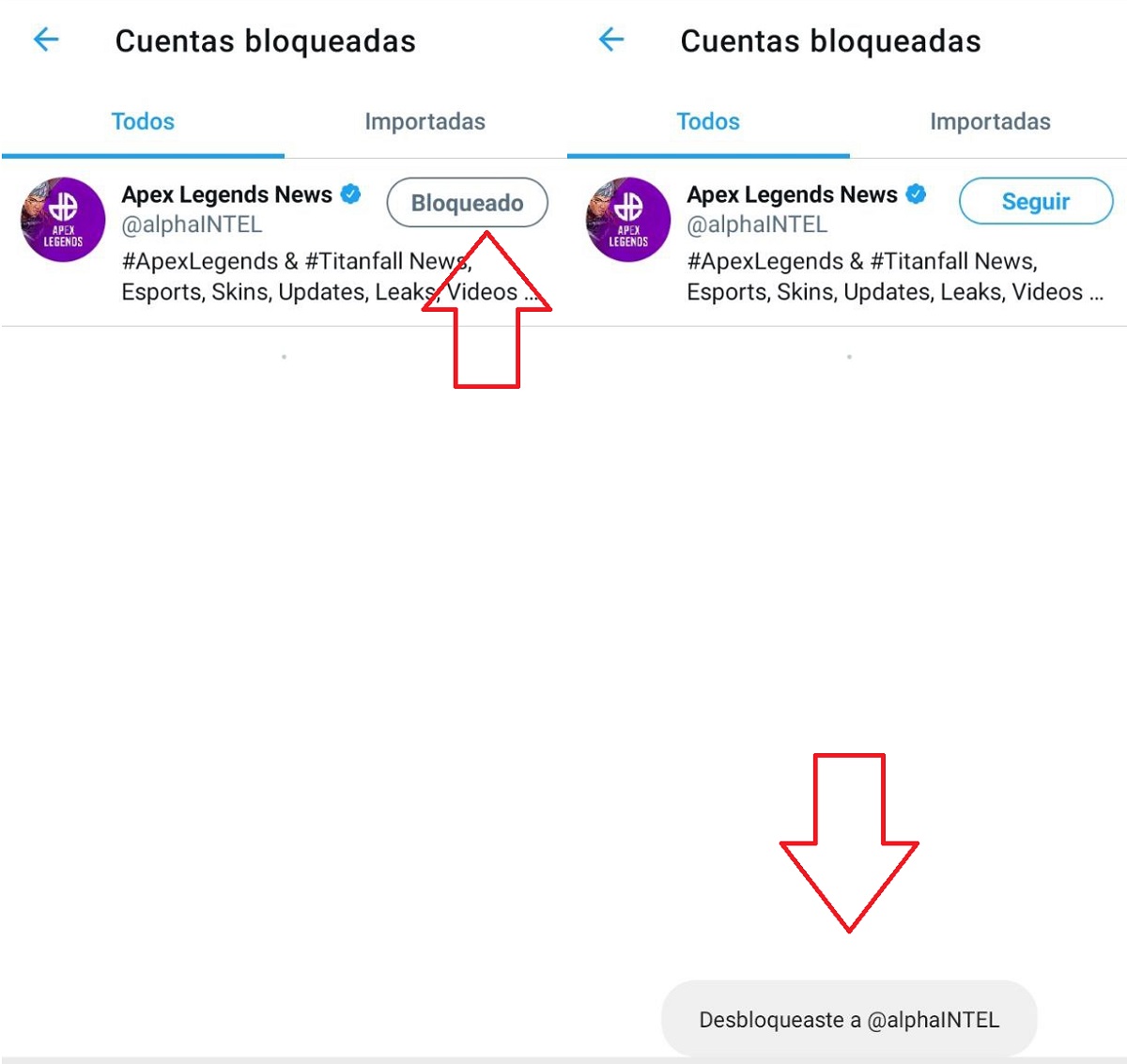 pasos desbloquear usuario twitter (2)