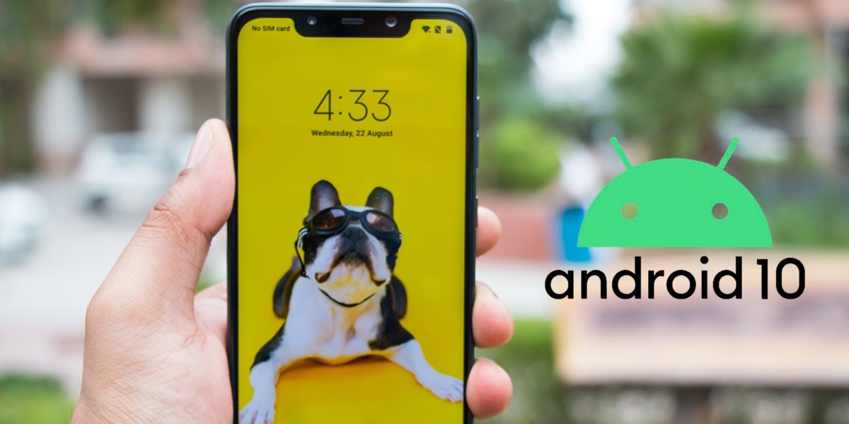 pocophone f1 instalar android 10