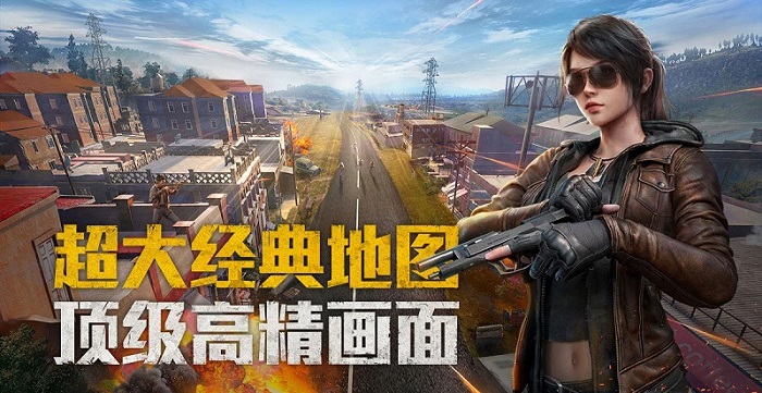 pubg game for piece