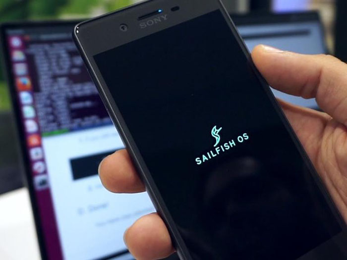 sailfish