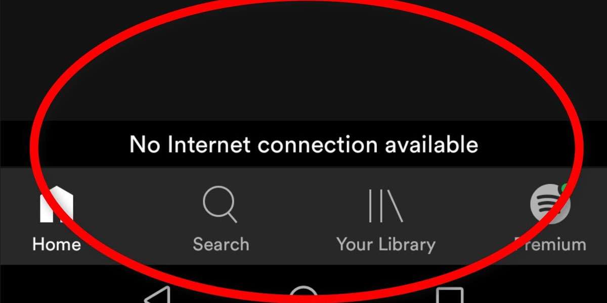 Spotify sin internet