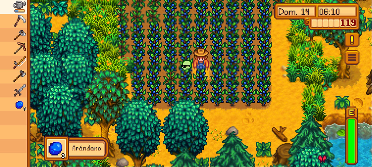 stardew valley arandanos