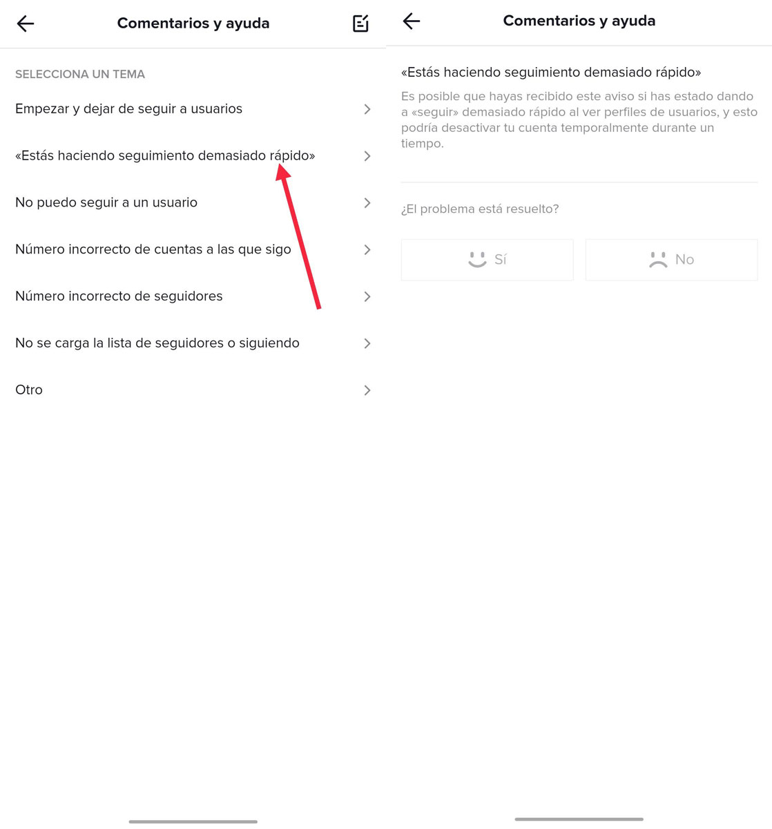 Seguir demasiado rápido TikTok 