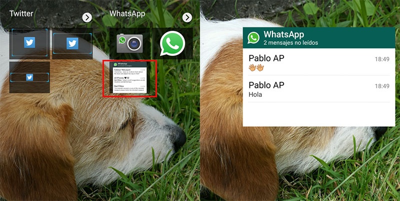 usar widget whatsapp para ocultar doble check azul