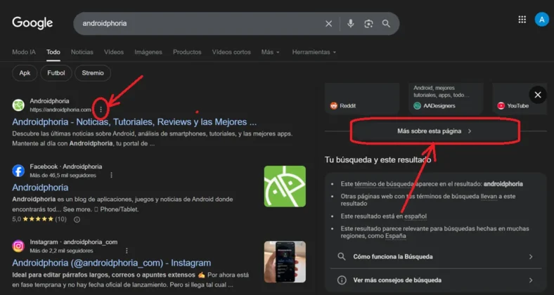 ver version antigua de pagina web en google