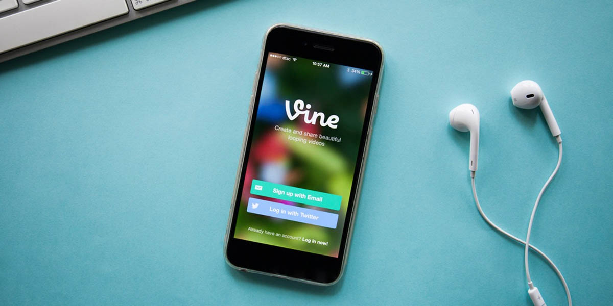 vine podría volver gracias a elon musk