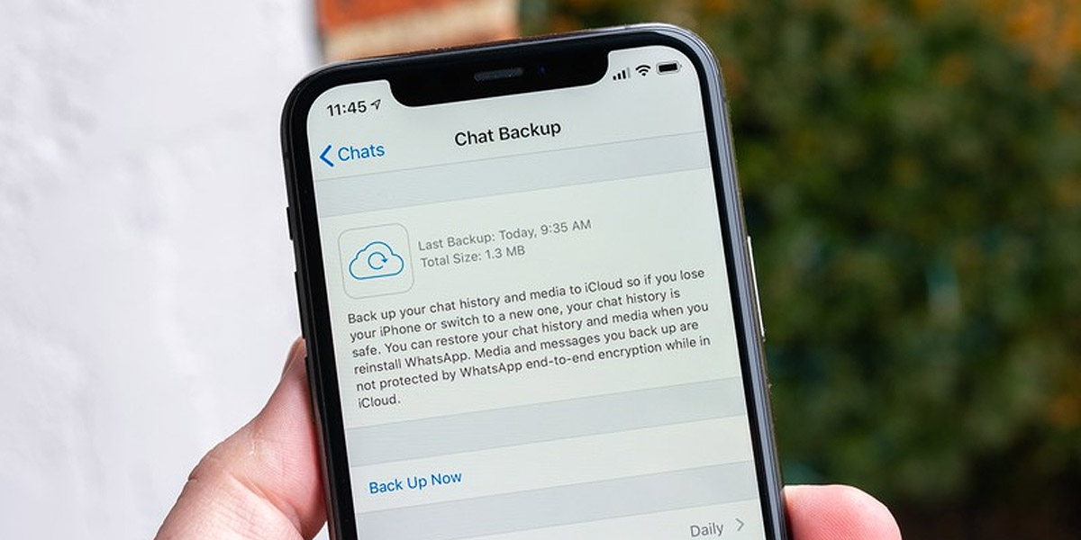 whatsapp cifra copias de seguridad ios