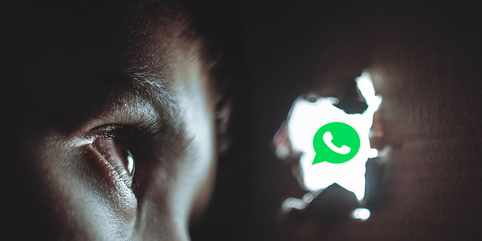 whatsapp sniffer