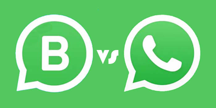 whatsapp y whatsapp business