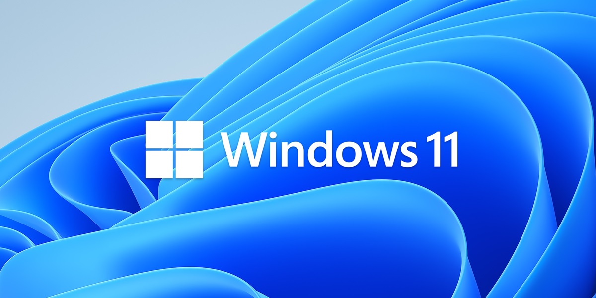 windows 11 logo