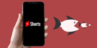 youtube shorts canibaliza los videos largos