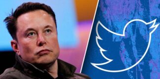 ¿Has perdido seguidores en Twitter Es culpa de Elon Musk